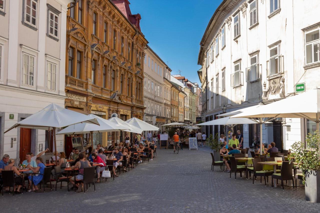 City Center Apartment With Parking Ljubljana Bagian luar foto