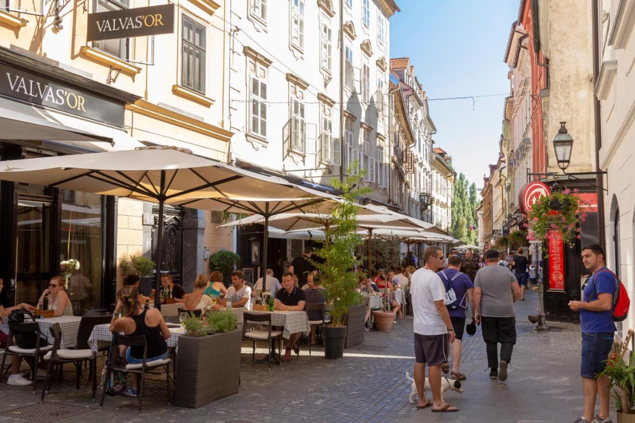 City Center Apartment With Parking Ljubljana Bagian luar foto
